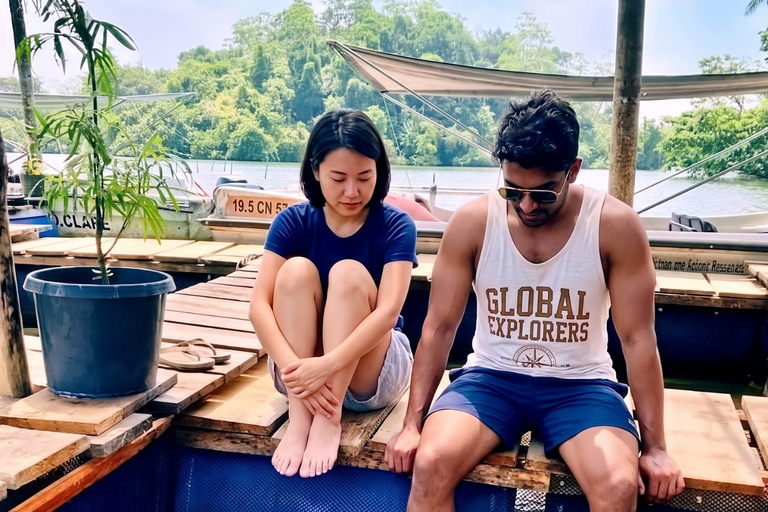 Colombo: Galle, Madu River Day Trip with Turtle Conservation