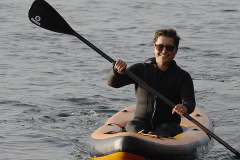 Snorkel Focas Remando Vida Salvaje Tour en barco en Vancouver