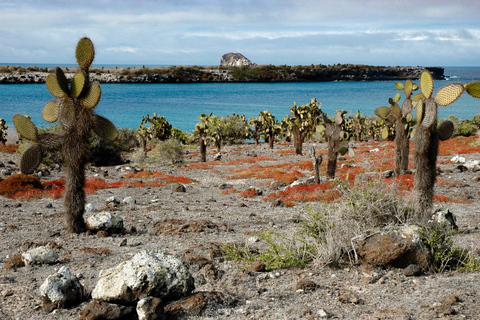 Galapagos: Puerto Ayora Guided Yacht Tour and Snorkeling