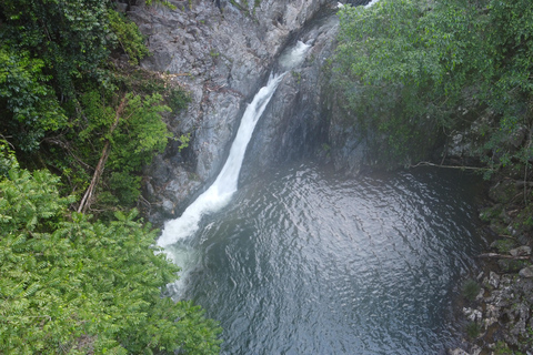 Foresta pluviale di Daintree: Passeggiata alle cascate magiche con pranzo e bagno