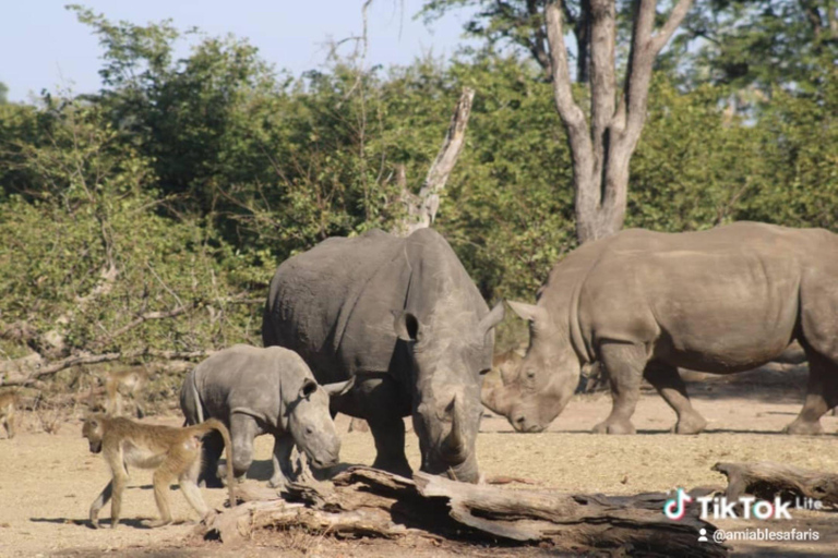 Zambia: 2-Day Victoria Falls and Rhino Encounter Tour