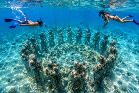 Labuan Bajo: 5-Day Komodo to Gili Trawangan Whale Shark Tour Standart Boat | Sharing Deck | No WHALE SHARK