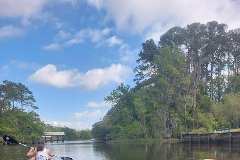 Jacksonville FL: Avventura in kayak sul fiume OrtegaNoleggio di 1 ora di kayak in tandem