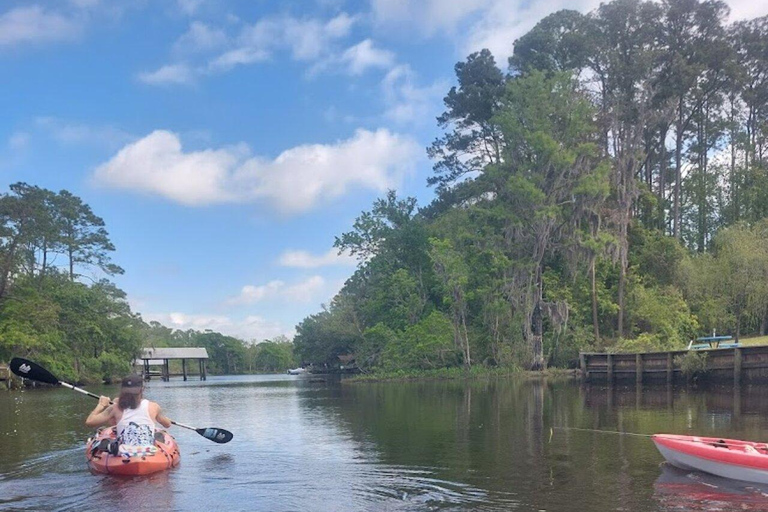 Jacksonville FL: Avventura in kayak sul fiume OrtegaNoleggio di 1 ora di kayak in tandem