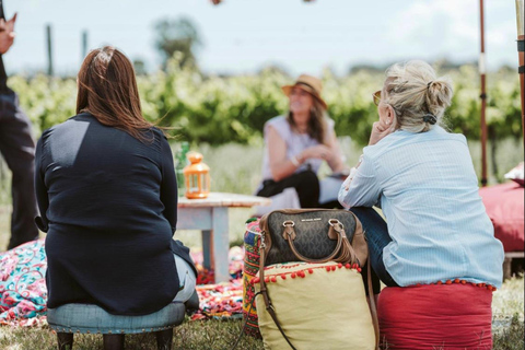 Braccobosca 酒庄之旅参观布拉科博斯卡酒庄并品尝特级葡萄酒