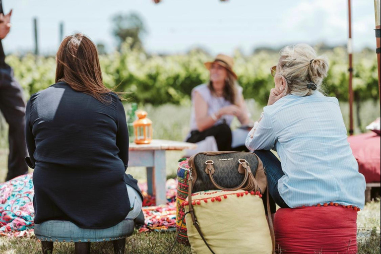 Braccobosca 酒庄之旅参观布拉科博斯卡酒庄并品尝特级葡萄酒