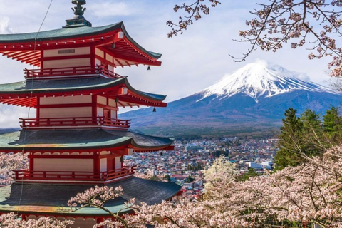 Da Tokyo:Tour di un giorno del Monte Fuji personalizzato con autista inglese