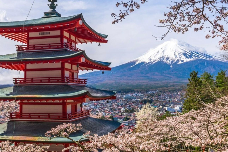 Da Tokyo:Tour di un giorno del Monte Fuji personalizzato con autista inglese