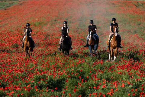 Ride in Rome with meal and wine included