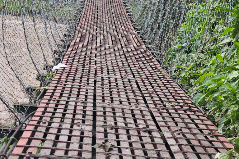 Addis Ababa: 5-Day Northern Ethiopia Historical Tour