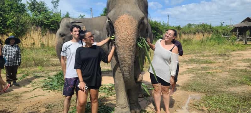 Cambodia Elephant Sanctuary and Banteay Srey Temple Tour