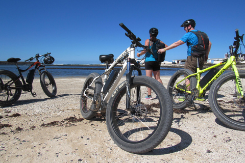 E-Biking zwischen VulkanenMit dem E-Bike durch die Vulkanlandschaft