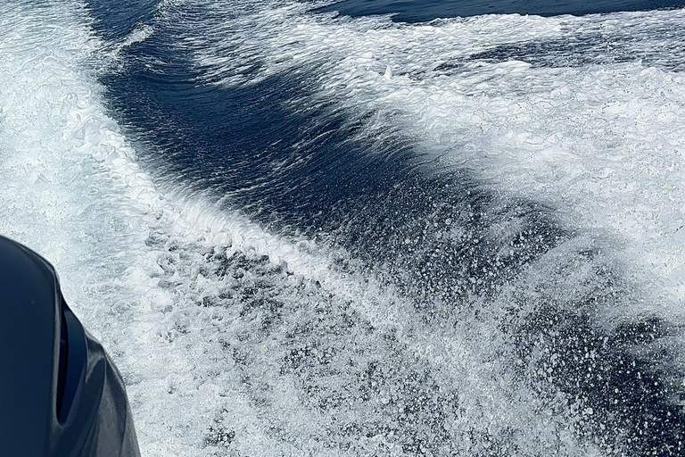 Speed Boat Tour to Blue Cave, Lady of Rocks and Mamula