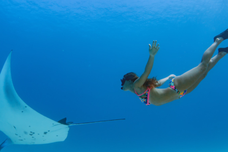 Komodo Speedboat Long Day Trip: 8 Highlights in One Day