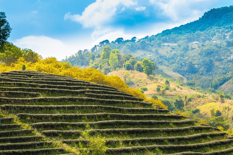 Depuis Chiang Mai : Personnalisez votre itinéraire dans le nord de la ThaïlandeDepuis Chiang Mai : Voyage sur mesure dans le nord de la Thaïlande