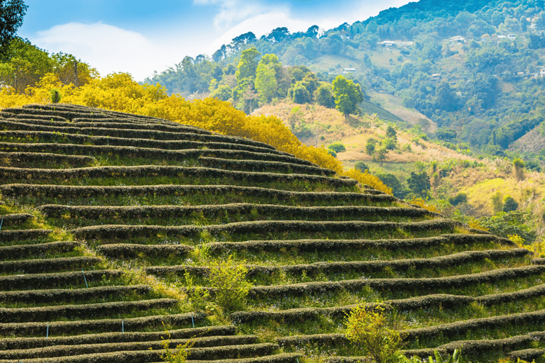 Depuis Chiang Mai : Personnalisez votre itinéraire dans le nord de la ThaïlandeDepuis Chiang Mai : Voyage sur mesure dans le nord de la Thaïlande