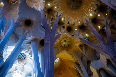 Barcelona: Sagrada Familia Tour with Optional ExtrasSagrada Familia Guided Tour Only