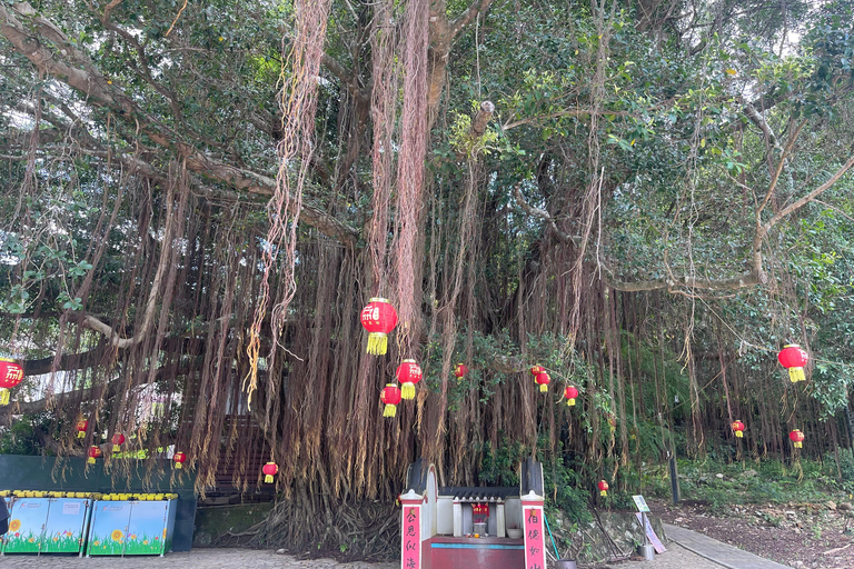 Hong Kong: Lai Chi Wo Village and Hakka Culture Tour