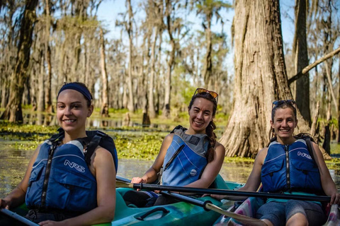 Nueva Orleans: Excursión en Kayak por el Pantano Mágico de ManchacExcursión por el pantano en kayak sin transporte