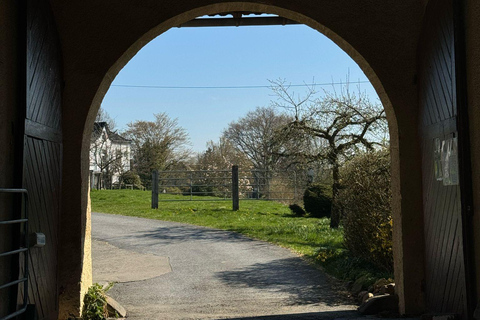 Châteaux forts, distillerie et la vallée de Muttental - Visite en Segway à KemnadeChâteaux entourés d&#039;eau, distillerie et la vallée de Muttental - Visite guidée en Segway à