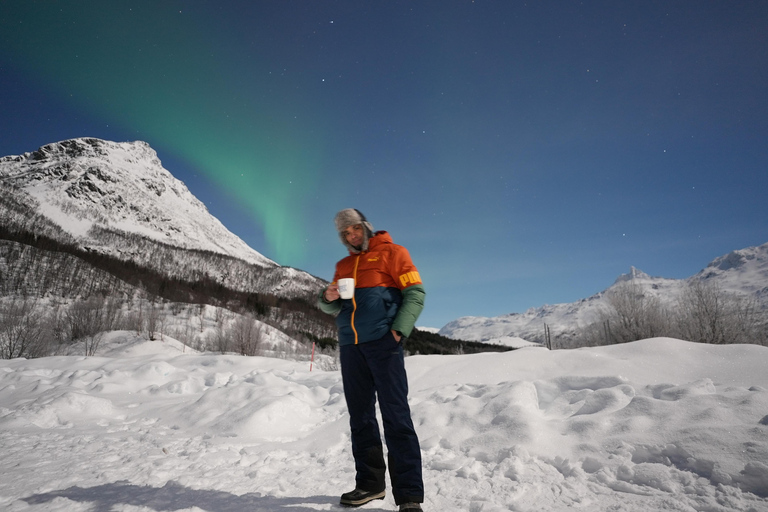 Tromsø: Northern Light guided Tour with free photos.