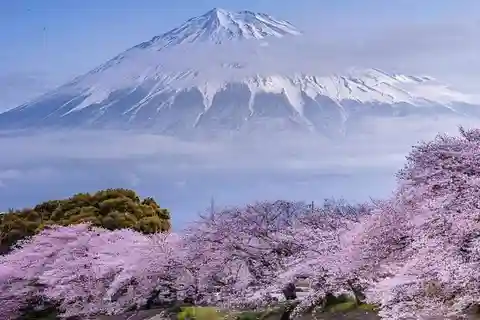 Mount Fuji and Hakone Full Day Private Sightseeing Tour