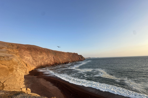 Paracas: Desert Magic and Hidden Spots