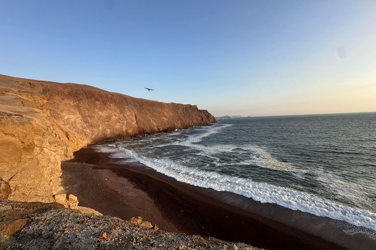 Paracas: Desert Magic and Hidden Spots