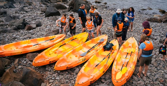 Madeira: Full-Day of Activities in Ponta de São Lourenço