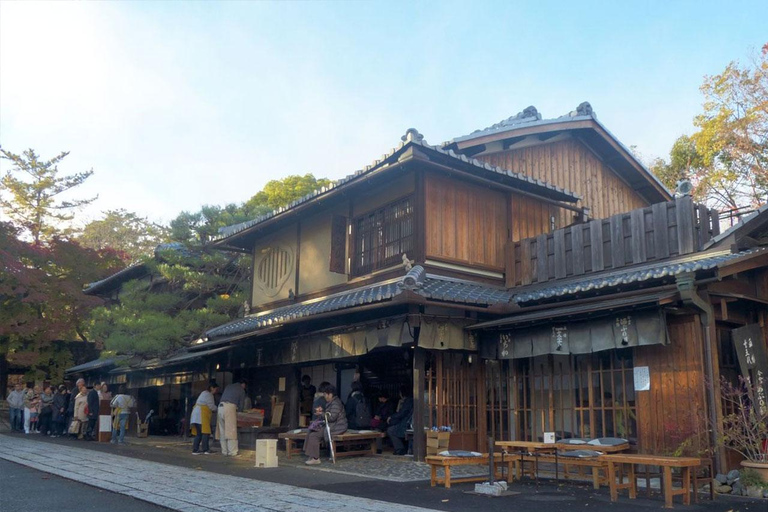 Kyoto/Osaka/Nara: Kyoto Private Guided Day Trip on Vehical