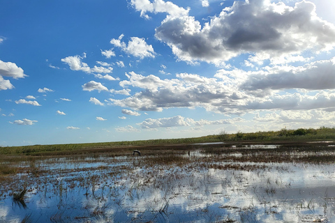 Everglades: tour en barco con transporte y entrada incluidos