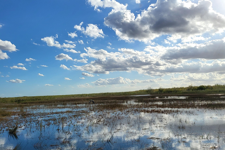 Everglades: tour en barco con transporte y entrada incluidos