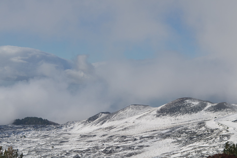 Trekking guidé sur l'EtnaTrekking sur l'Etna