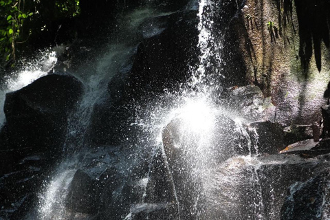 Ubud-avontuur: apenbos, rijstterrassen en watervallen
