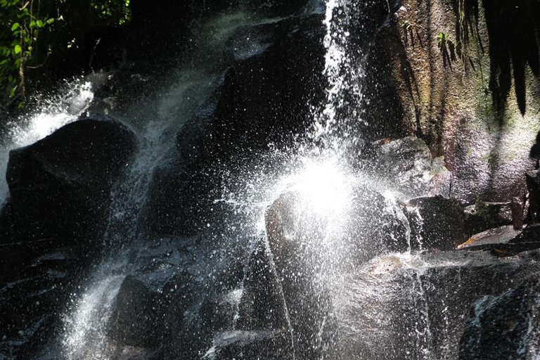 Ubud-avontuur: apenbos, rijstterrassen en watervallen