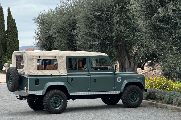 Nice: 4x4 Tour to Èze Village with Fragonard Perfume Factory