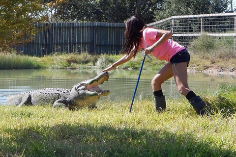 Aus Houston: Crocodile Encounter Entry Ticket