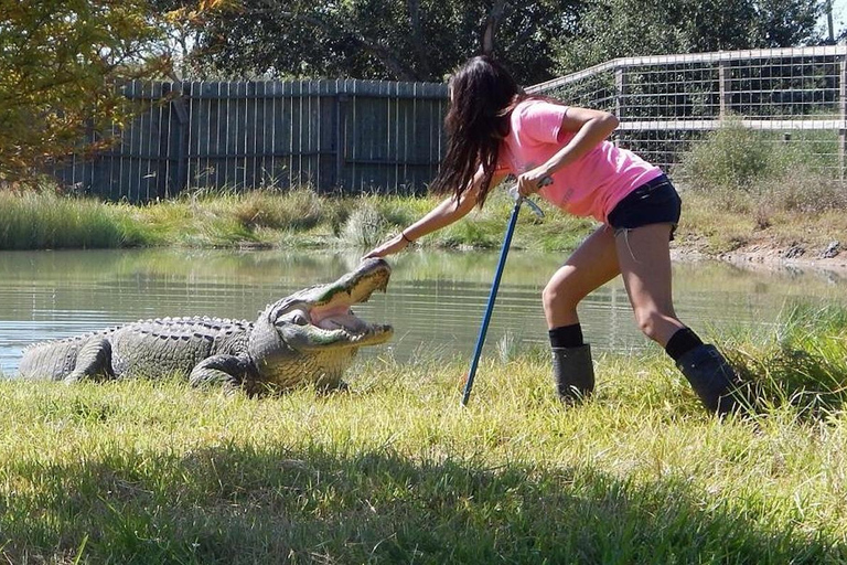 De Houston: Ingresso para o Crocodile Encounter