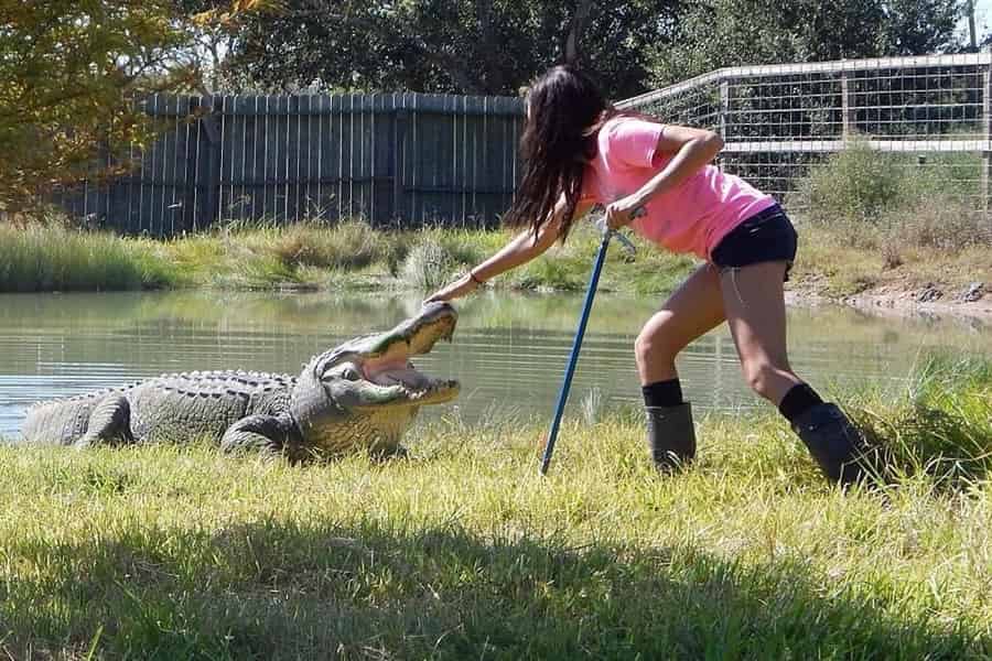 Aus Houston: Crocodile Encounter Entry Ticket. Foto: GetYourGuide