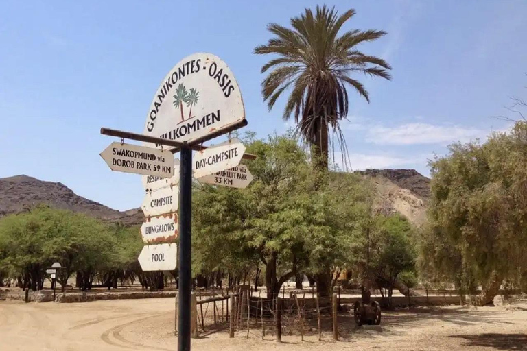 Namib Desert: Pink Salt Lakes, Seal Colony & Moon Valley