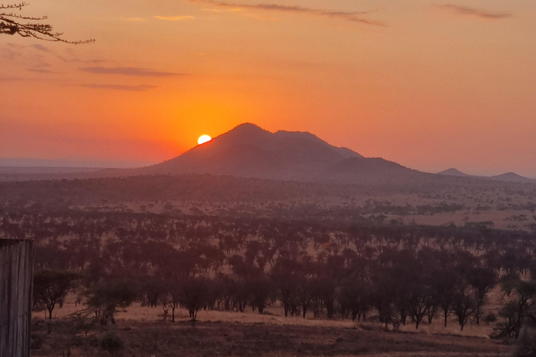 4-tägiges privates Serengeti Camping Abenteuer