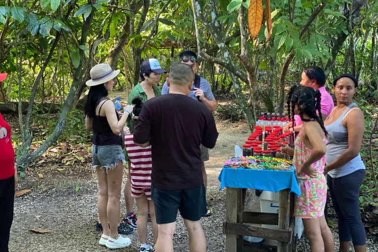 Visite privée d'une demi-journée à Punta Cana avec un guide de la région