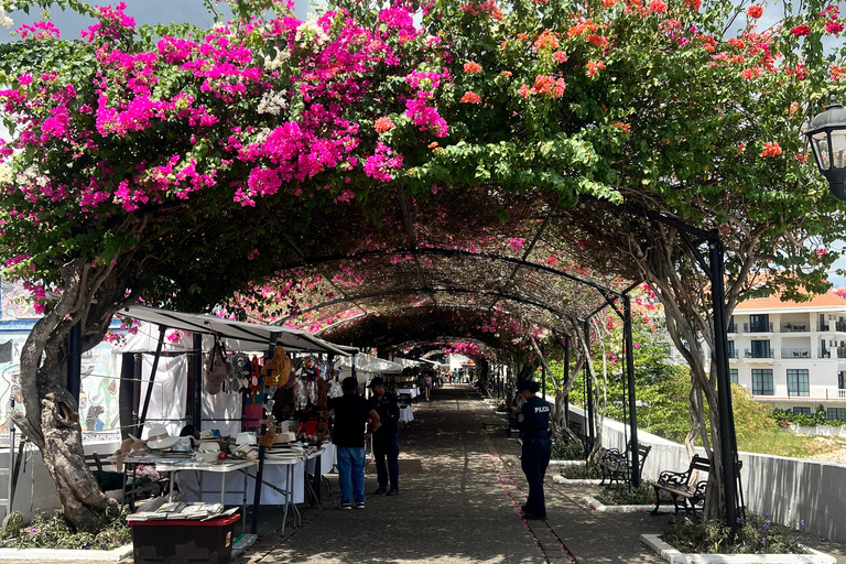 Panama Highlights: From Then To Now Tour Panama Highlights: Old Panama, Casco Antiguo & Causeway Tour