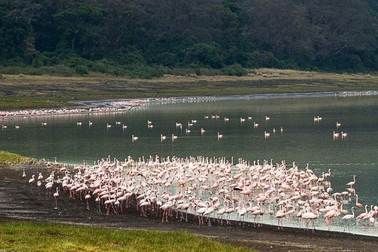 Arusha: 6-Day Tanzanian Nature Walk and Wildness Adventure