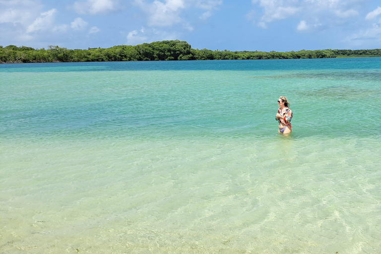 Buccoo Reef and Nylon Pool Adventure