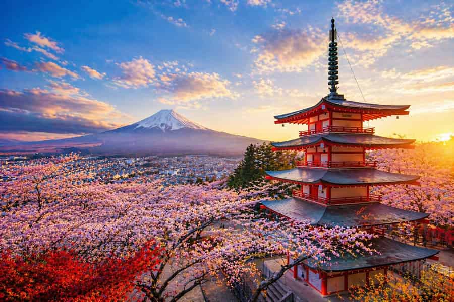 Ab Tokio: Private Tour zum Berg Fuji mit englischsprachigem Guide. Foto: GetYourGuide