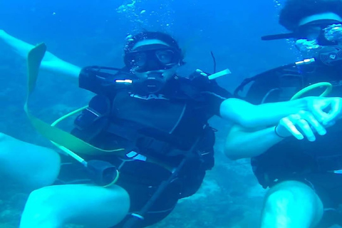 Punta Cana: Catalina Island Scuba Diving Day Trip