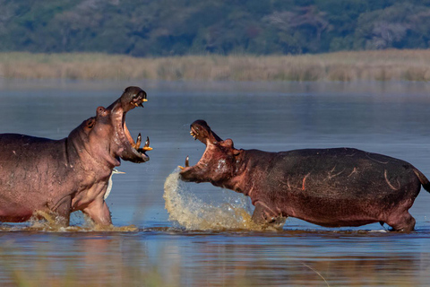 From Maputo: 2-Day Safari & Ocean Hideaway at Maputo Reserve