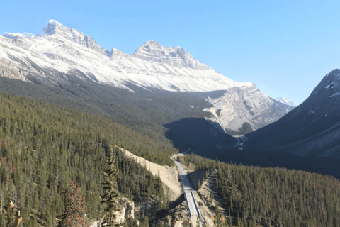 From Canmore/Banff: Icefields Parkway Experience Icefields Parkway: Our Signature Private Experience