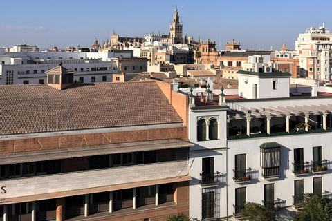 Siviglia: terrazza panoramica con vista mozzafiatoSiviglia: terrazza sul tetto con vista panoramica